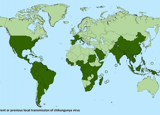 Important call for action: chikungunya outbreak